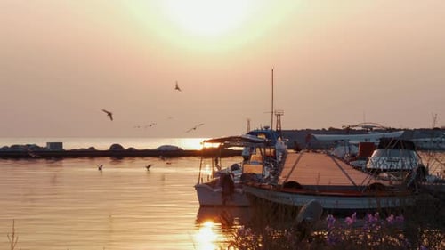Marine Scene with Harbour and Sea-gulls at Sunset