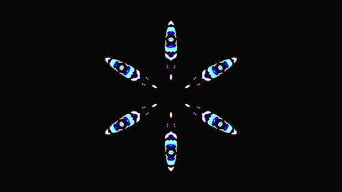 black background. For show, Colorful animated bright ornaments.star stripes