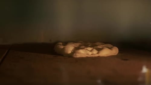 La pizza caliente se hornea en el hogar