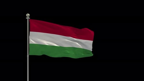 Waving Hungarian National Flag on a Black Background