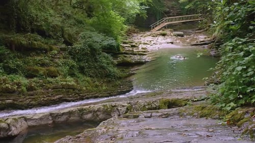 A Small Mountain River Flows in the Jungle