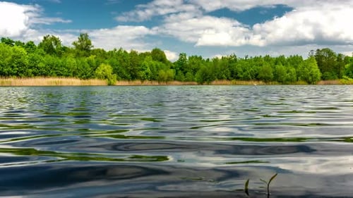 Calm lake in green city park.