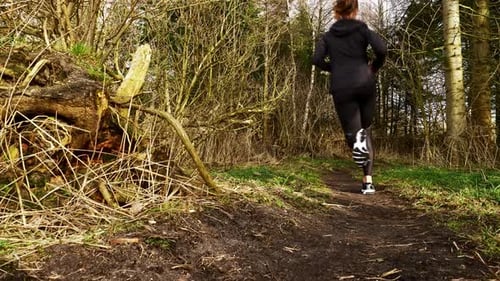 Jogging in the Forest