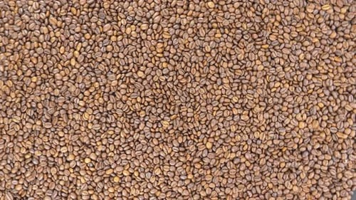 Roasted Coffee Beans View From Top