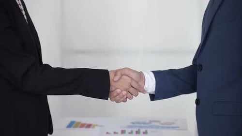 Business People Shake Hands in Agreement