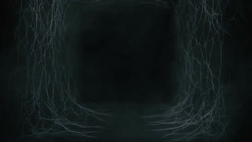 Spider Web Background