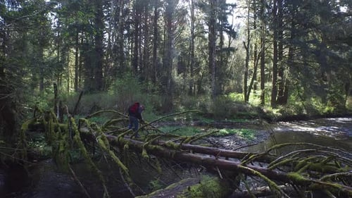 Homme prenant des photos du ruisseau et de la forêt