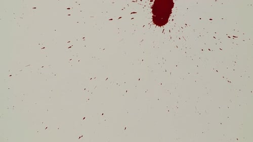 Gotas de sangre roja en el libro blanco