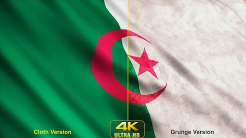 Waving Algerian Flag with Grunge Texture Effect