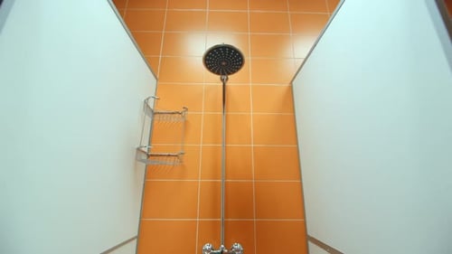 Shower Cabins with Shelves in Contemporary Sports Complex