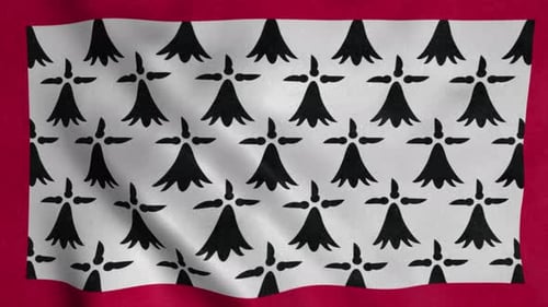 Waving Heraldic Ermine Pattern Flag Animation