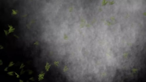 Tornado und Leaves Loop