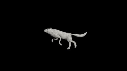 Weißer Wolf-Lauf
