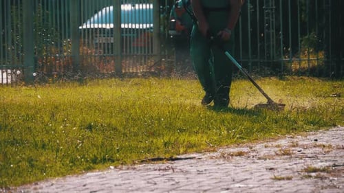 Man Gardener mäht das Gras auf dem Rasen mit einem Benzinmäher im Park. Zeitlupe