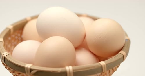 Chicken egg