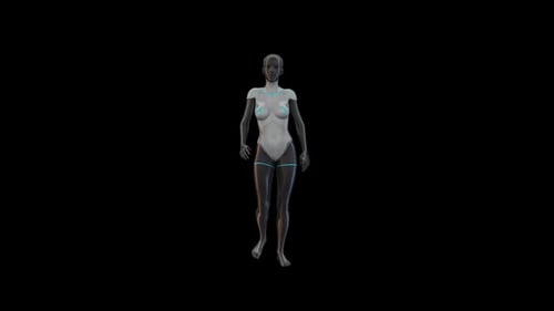 Female Humanoid Walk