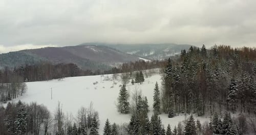 Mit Schnee bedeckter Wald Luftaufnahme. Luftaufnahme eines Dorfes in den Bergen