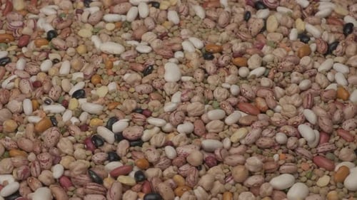 Variety of colorful dried beans and lentils