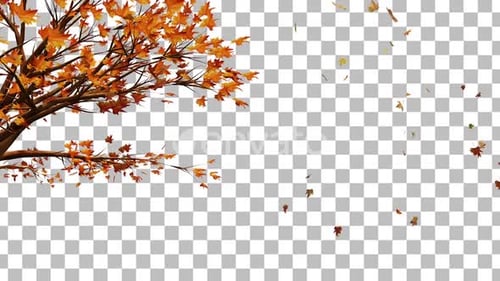 Leaf Single Tree Autumn Leaves 3D