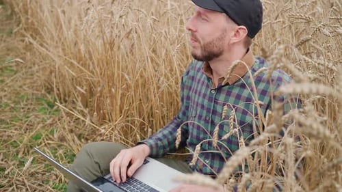 Der Ökologe sitzt auf einem Feld und arbeitet am Laptop, Fernarbeit und Selbstisolation in der Natur, SMS