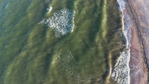 The Edge of the Sea in the Evening Sun