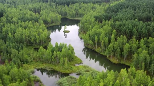 Luftbild eines Waldsees mit kleiner Insel.