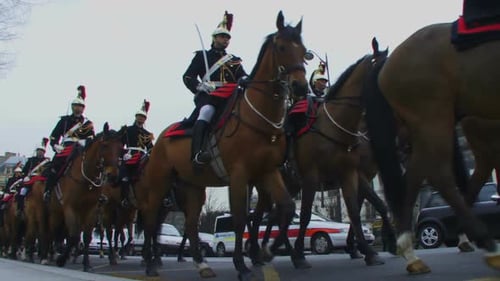 Low angle view on Horse Parade, Paris France