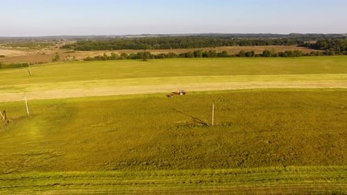 The tractor is stacking haystacks on an agricultural field in autumn, aerial view