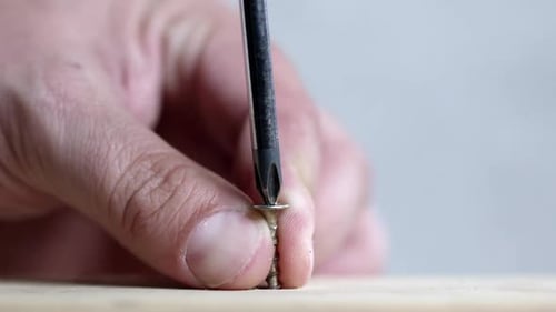 Hand Screwing a Screw into Wood with Screwdriver