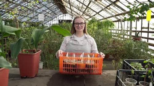 Smiling Woman Holding Seedlings in Lush Greenhouse
