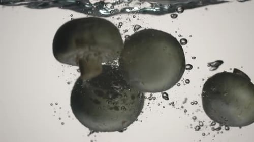 Mushrooms Fall Into Water