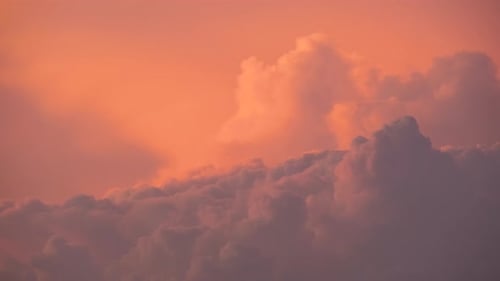 Pink Clouds Move in a Pink Sky