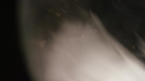 Abstract Bokeh and Light Leaks with Lens Flares