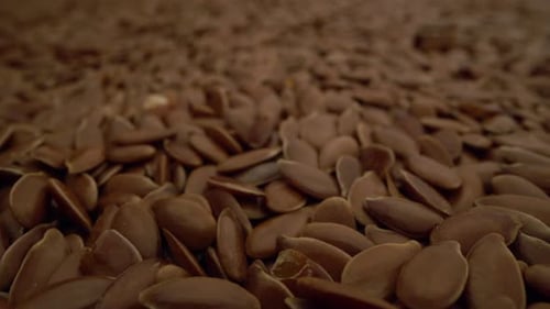 Close Up of Dry Brown Flax Seeds