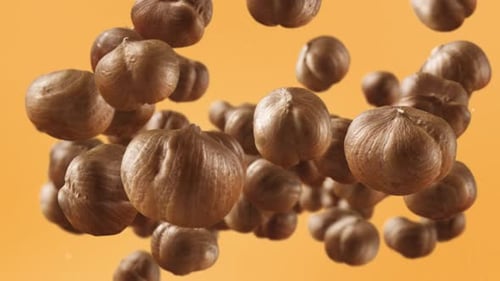 Hazelnuts Float Upwards on Yellow Background
