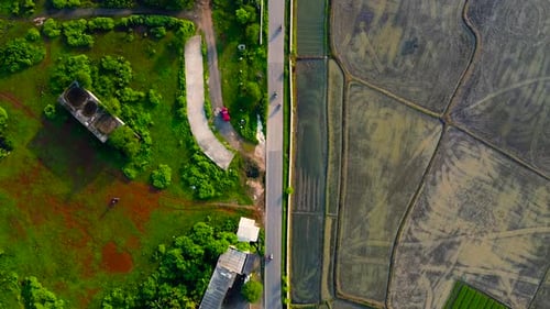 along straight highway road in the middle of beautiful green tree forest.