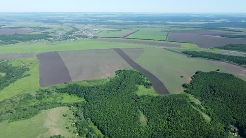 Aerial View of Cultivated Fields and Forest. Beautiful Landscape By Flying Drone