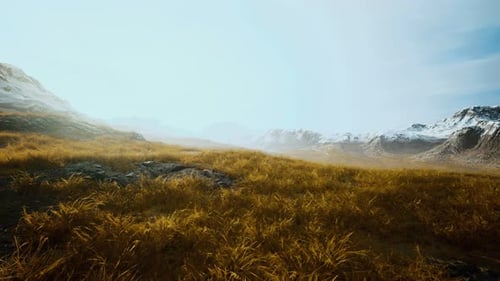 Dry Grass and Snow Covered Mountains in Alaska