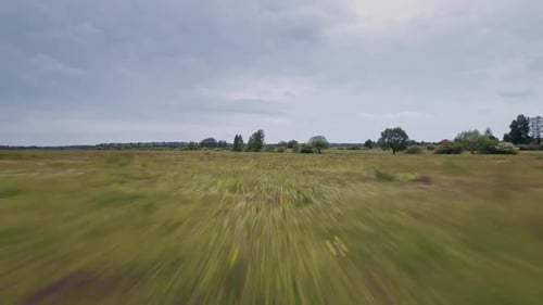 Vue aérienne du paysage printanier verdoyant avec prairie