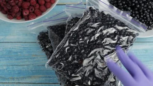 Packing Blueberries in Plastic Bags on Table