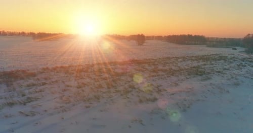 Aerial Drone View of Cold Winter Landscape with Arctic Field, Trees Covered with Frost Snow and