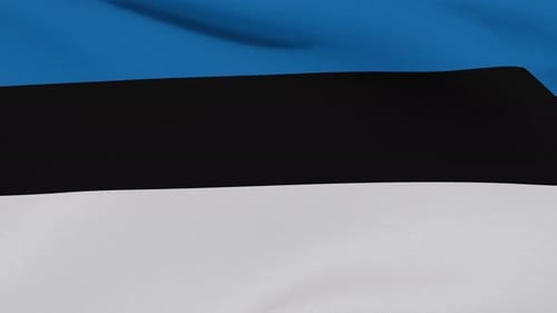 Animated Estonia National Flag Waving Seamless Loop