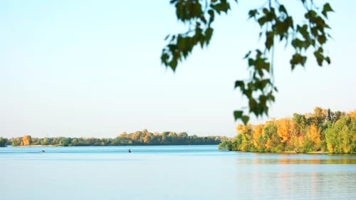 Flusslandschaft mit Bäumen.