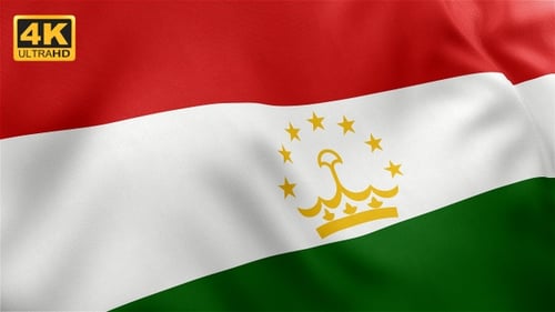 Realistic Tajikistan National Flag Waving Seamless Loop