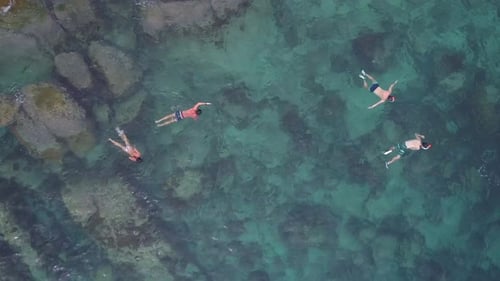 Snorkeling in Coral Lagoon