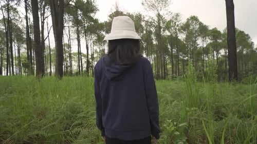 A backpacker Asian tourist woman traveling and walking in forest trees