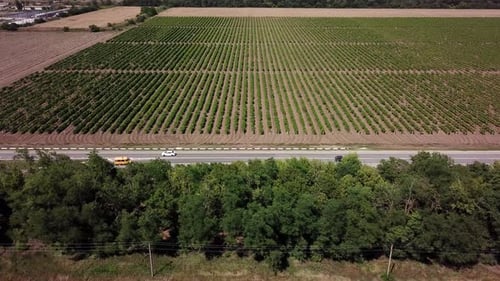 Aerial View of Highway Road Between Meadow and Agricultural Field