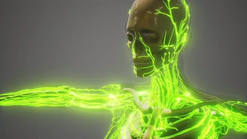 3D Glowing Human Lymphatic System Medical Animation