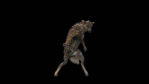Dancing Fawn Creature Loop Animation
