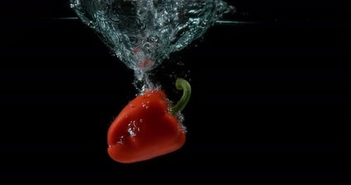 900454 Red Sweet Pepper, capsicum annuum, Vegetable falling into Water against Black Background, Slo